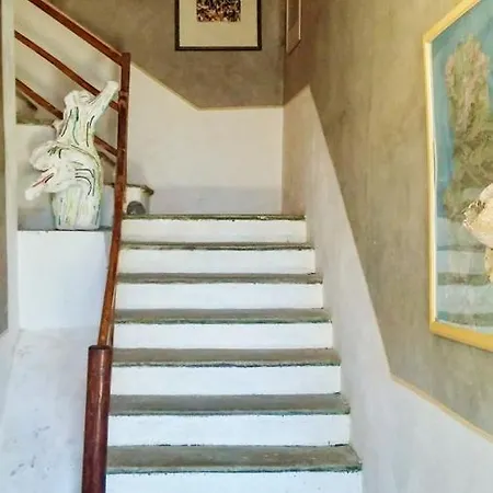 Maison De 9 Chambres A Centuri Avec Magnifique Vue Sur La Mer Jardin Amenage Et Wifi A 15 Km De La Plage * Centuri
